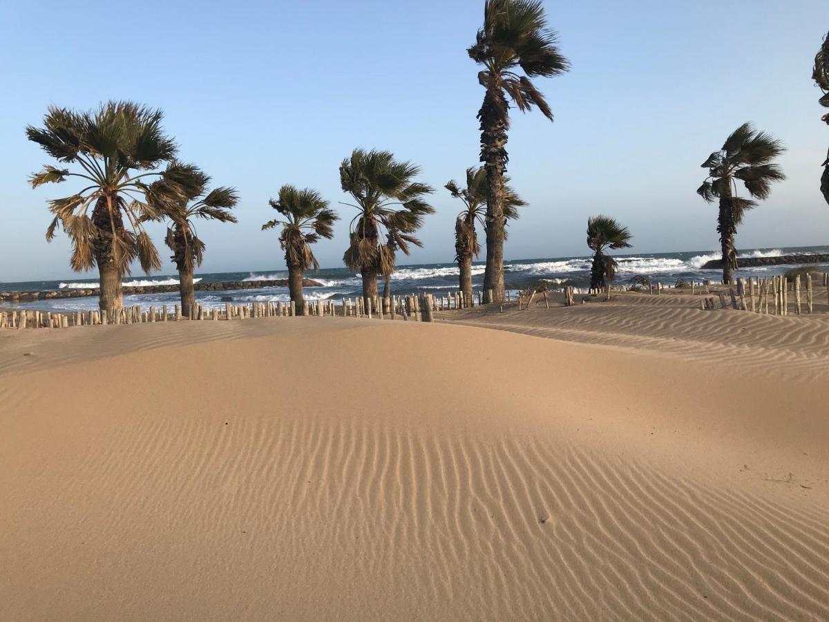 Apartment Newly Renovated Aircond-Wifi-Pool-Sea View-150M To Beaches- Saint Aygulf Buitenkant foto